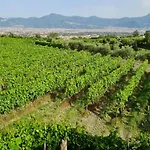 Vesuvio Bed & Wine Experience Çiftlik konaklama