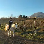 Vesuvio Bed & Wine Experience Çiftlik konaklama *