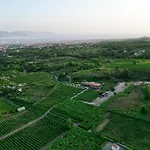 Vesuvio Bed & Wine Experience * Boscotrecase