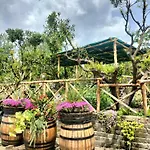 Çiftlik konaklama Vesuvio Bed & Wine Experience *