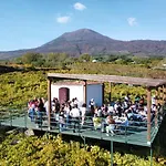 Vesuvio Bed & Wine Experience Çiftlik konaklama *