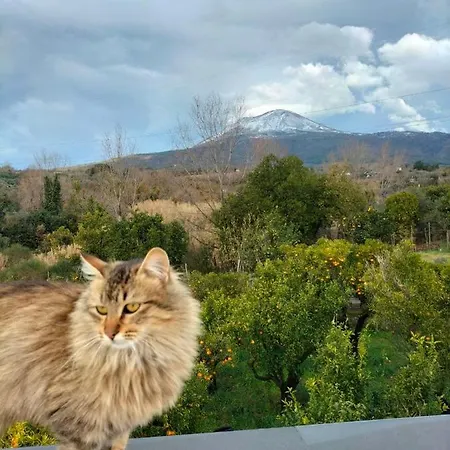 Vesuvio Bed & Wine Experience