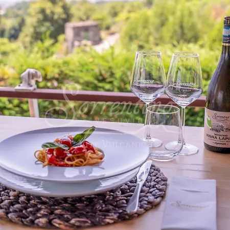 ファームステイ Vesuvio Bed & Wine Experience