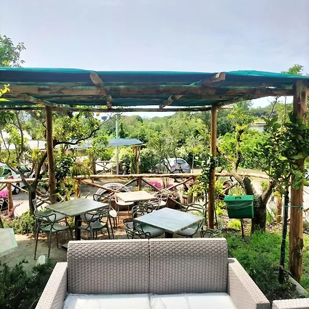 Vesuvio Bed & Wine Experience ファームステイ *