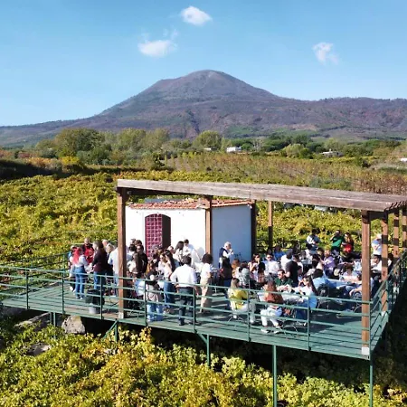 Vesuvio Bed & Wine Experience ファームステイ *