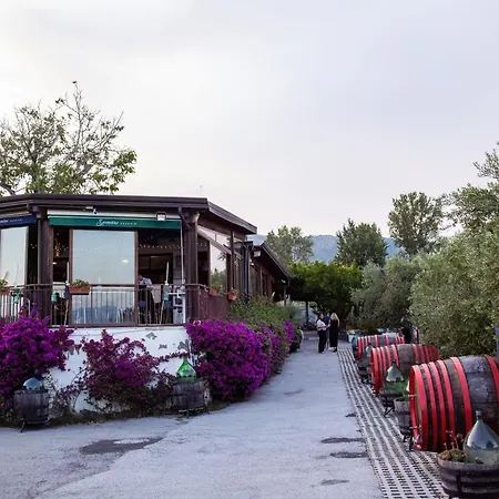 Çiftlik konaklama Vesuvio Bed & Wine Experience *