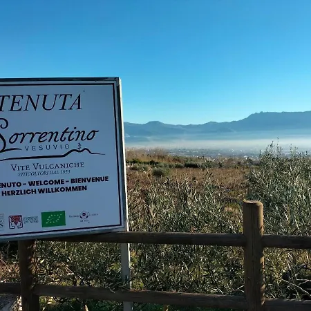 Alojamento de Turismo Rural Vesuvio Bed & Wine Experience