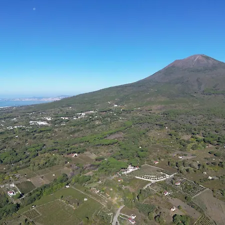 Vesuvio Bed & Wine Experience Boscotrecase