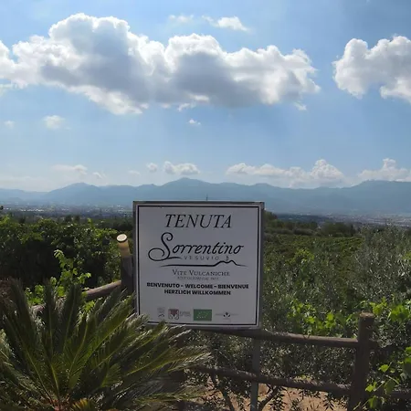 Vesuvio Bed & Wine Experience * Boscotrecase