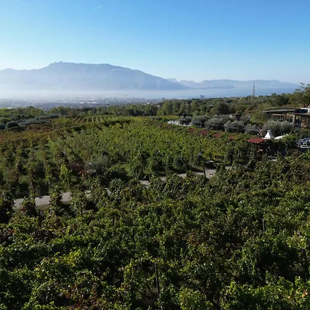 Vesuvio Bed & Wine Experience Farm stay Boscotrecase
