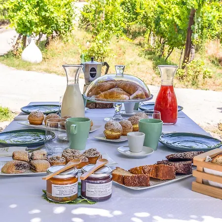 Farm stay Vesuvio Bed & Wine Experience Boscotrecase