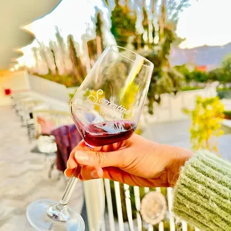 Vesuvio Bed & Wine Experience Farm stay