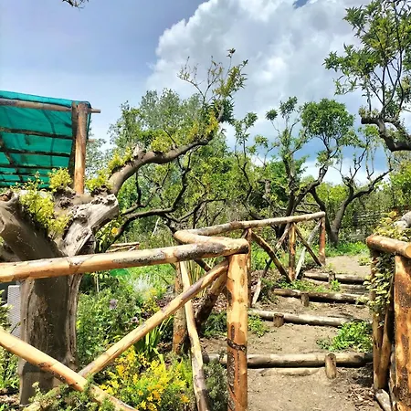 Vesuvio Bed & Wine Experience Boscotrecase