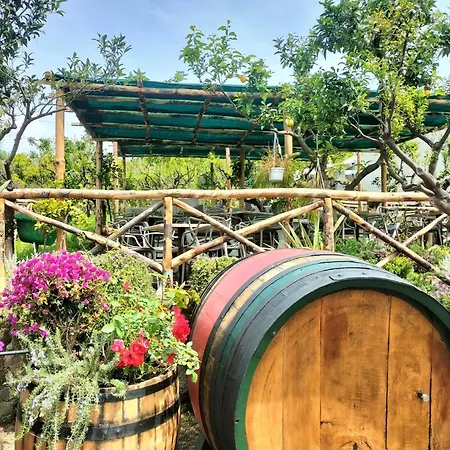 Vesuvio Bed & Wine Experience * Boscotrecase