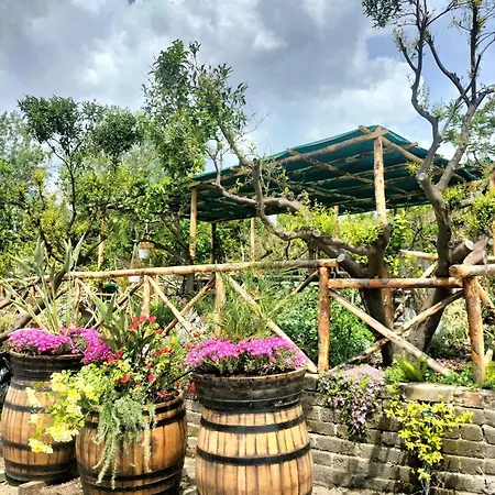 Alloggio per agriturismo Vesuvio Bed & Wine Experience *