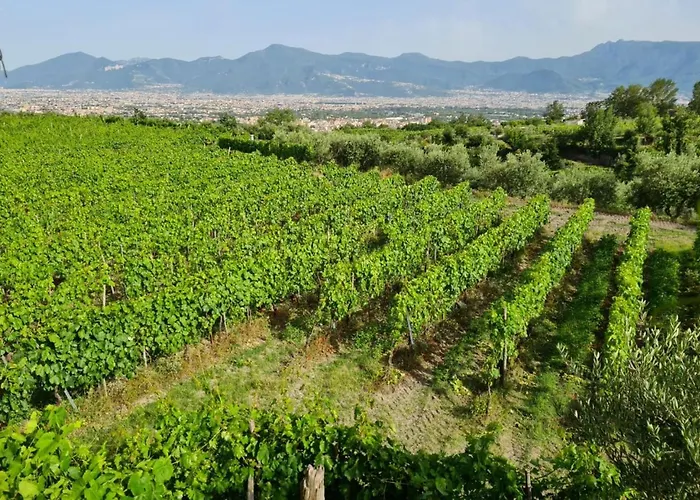 Vesuvio Bed & Wine Experience בית חווה