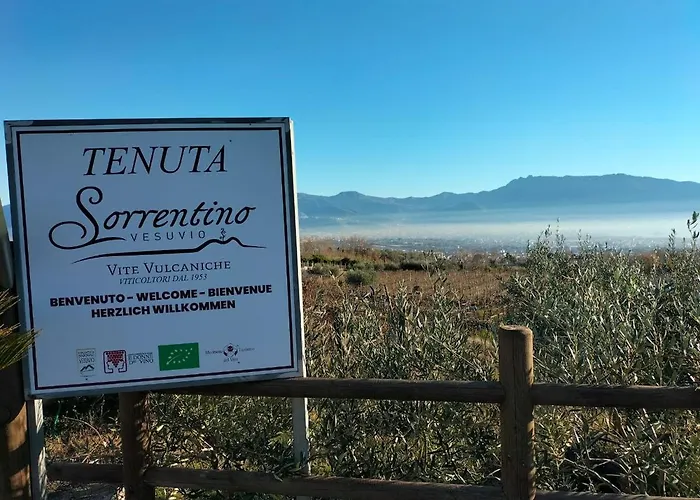 Gospodarstwo agroturystyczne Vesuvio Bed & Wine Experience