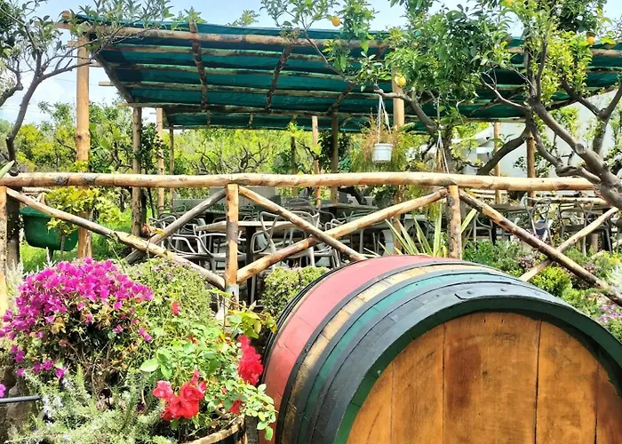 Vesuvio Bed & Wine Experience * Boscotrecase